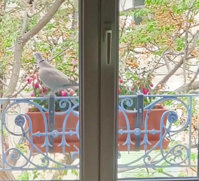 הוילה Aramon A Deux Pas D'Avignon מראה חיצוני תמונה