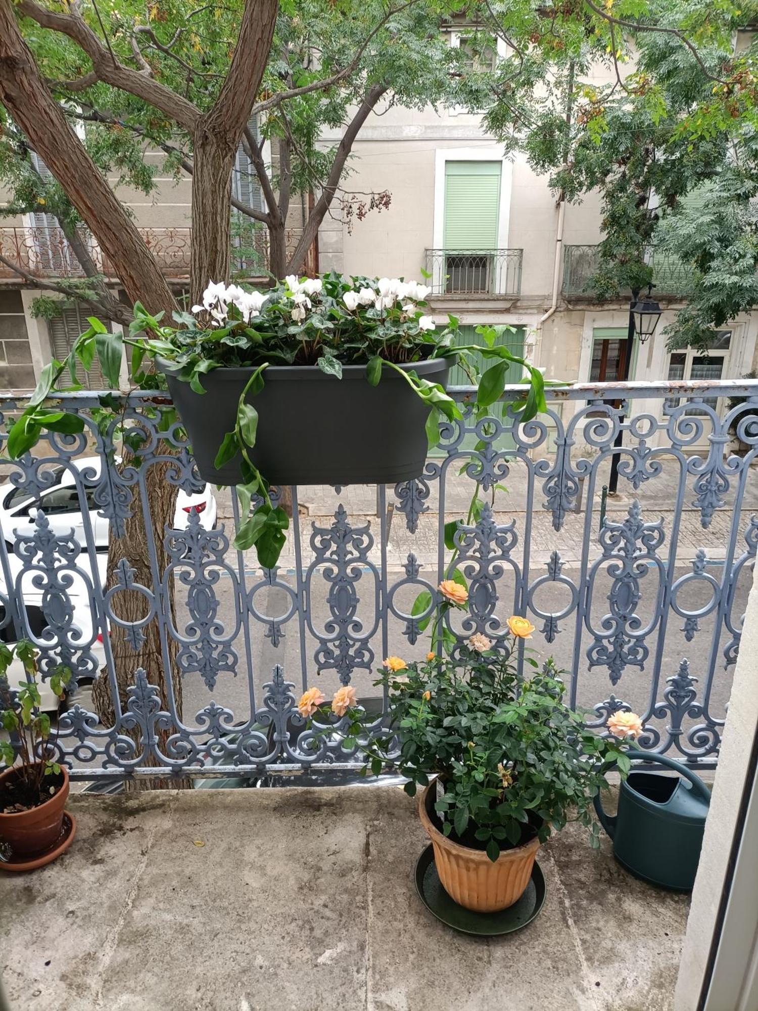הוילה Aramon A Deux Pas D'Avignon מראה חיצוני תמונה